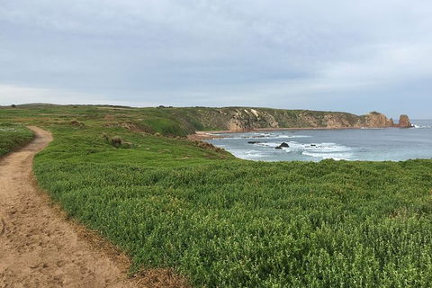 Half Day Phillip Island Woolamai Walking Tour - Local Tourism 9