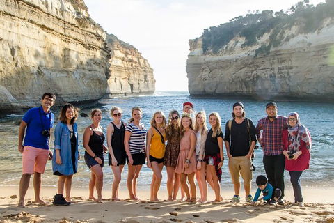 Great Ocean Road 2 Day Highlights Tour And Sunset 12 Apostles - Accommodation Australia 3