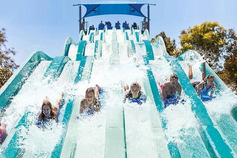 Adventure Park Geelong: General Admission Ticket - Accommodation Australia 1