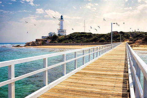 Around The Bay Sightseeing And Bay Cruise - Accommodation Australia 9