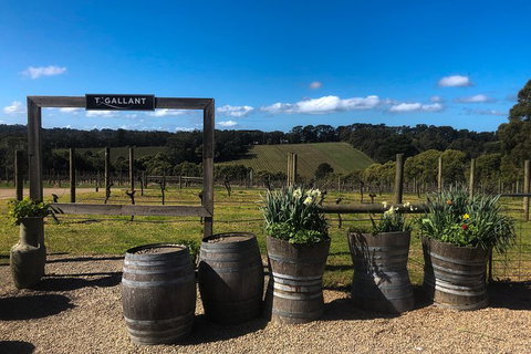 Private Wine Tours From Melbourne (price/group Not Per Person) - Accommodation Australia 12