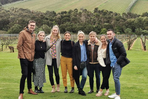 Private Wine Tours From Melbourne (price/group Not Per Person) - Accommodation Australia 11