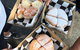 Mornington Peninsula Vegan Food Day Tour - thumb 0
