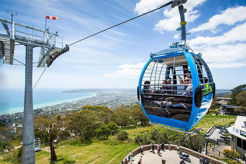 Around The Bay Food And Wine Taste Trail - Accommodation Australia 1