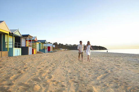 Around The Bay Food And Wine Taste Trail - Accommodation Australia 7