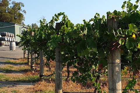 Wine Tasting Tour In The Yarra Valley - Accommodation Australia 2