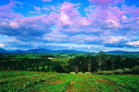 CHEVY CONVERTIBLE Package For 4 -Wine Lunch Cheese & Chocolate From Yarra Valley - Local Tourism 7