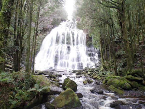 5-Day Best Of Tasmania Tour From Hobart - Local Tourism 2