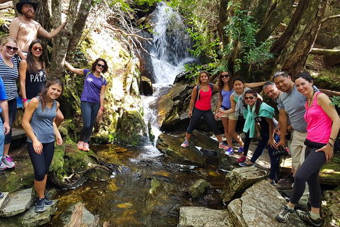 5-Day Best Of Tasmania Tour From Hobart - Local Tourism 9