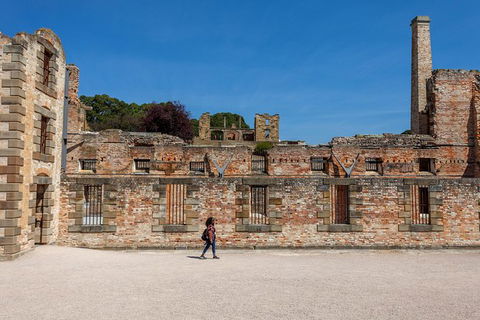 Port Arthur And Tassie Devils Active Day Tour From Hobart - Local Tourism 7