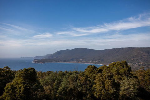 Port Arthur And Tassie Devils Active Day Tour From Hobart - Local Tourism 4