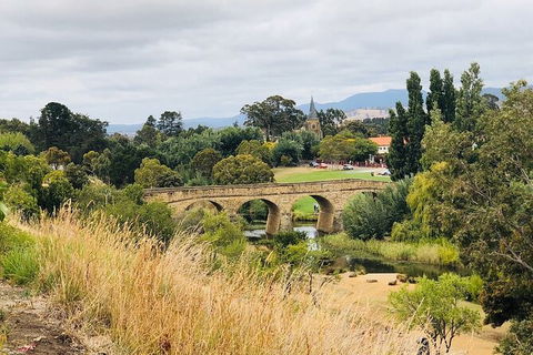 Day Tour In Mt. Field, Mt. Wellington, Bonorong Wildlife Sanctuary And Richmond - Local Tourism 6