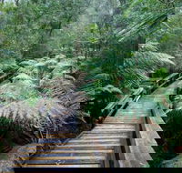 Small-group DayTour from Hobart Hastings Caves Huon Valley and Tahune AirWalk - Local Tourism
