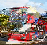 Hobart Hop-on Hop-off Bus Tour - Local Tourism