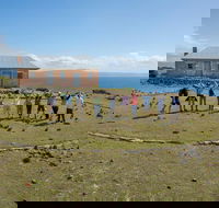 Maria Island Active Day Trip from Hobart - Local Tourism