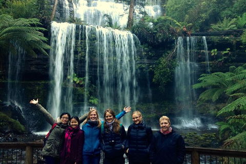 Mt Field National Park Active Day-Trip Including Bonorong And Mt Wellington - Local Tourism 1
