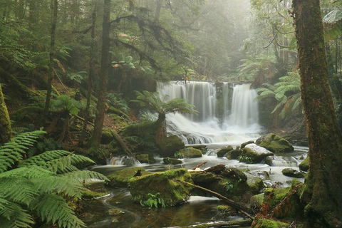 Mt Field National Park Active Day-Trip Including Bonorong And Mt Wellington - Local Tourism 10
