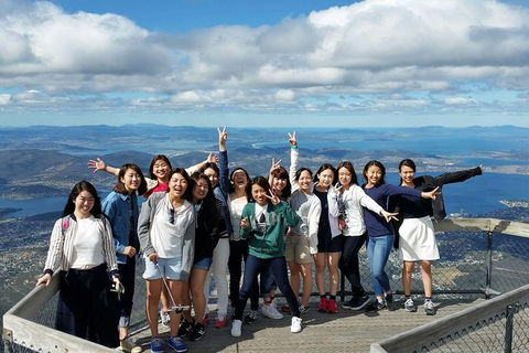 Mt Field National Park Active Day-Trip Including Bonorong And Mt Wellington - Local Tourism 3