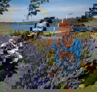 Port Arthur and Lavender Farm Active Day Tour - Local Tourism