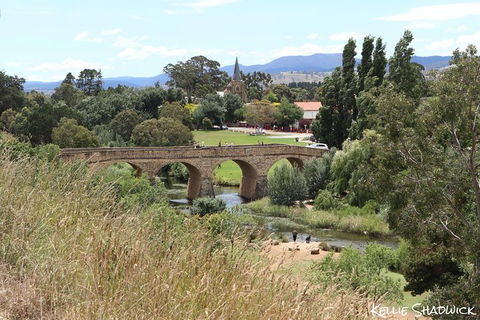 Mt Wellington And Richmond Historical Village Discounted Combo Tour - Local Tourism 1