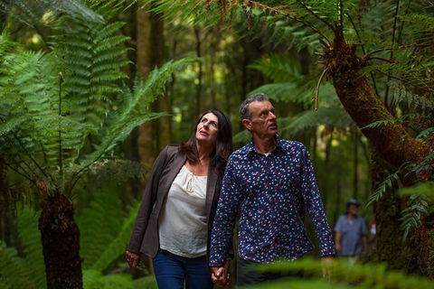 West Coast Wilderness Railway: River And Rainforest From Strahan - Local Tourism 1