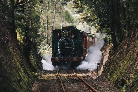 West Coast Wilderness Railway: River And Rainforest From Strahan - Local Tourism 0