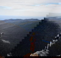 Mount Field National Park - Tarn Shelf  Russell Falls - Guided Hiking Tour - Local Tourism