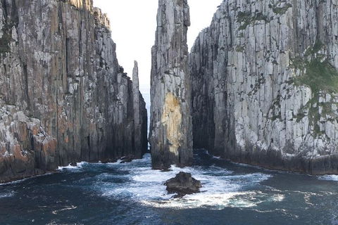 Day Trip To Tasman Peninsula And Port Arthur Historic Site From Hobart - Accommodation Australia 0