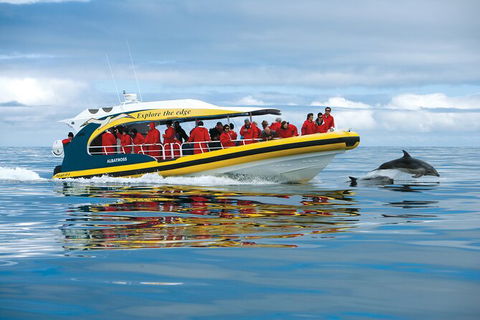 Day Trip To Tasman Peninsula And Port Arthur Historic Site From Hobart - Accommodation Australia 10