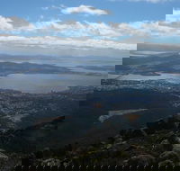 Mount Wellington Tour from Hobart - Local Tourism