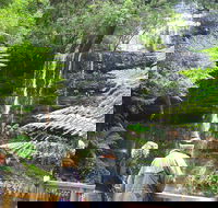 Mt Field National Park and Russell Falls from Hobart - Local Tourism