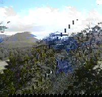 Huon Valley and Tahune Forest Airwalk Tour from Hobart - Local Tourism