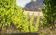Wine At The Weekend Tour From Hobart - thumb 1
