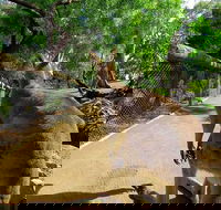 Wilderness and Wildlife - Accommodation Australia