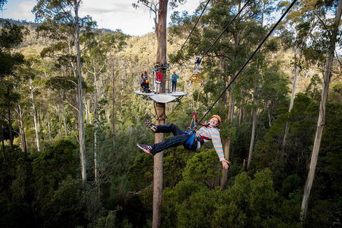 Hollybank Wilderness Adventure - Zipline Tours - Local Tourism 1