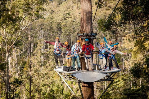Hollybank Wilderness Adventure - Zipline Tours - Local Tourism 0