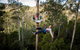 Hollybank Wilderness Adventure - Zipline Tours - thumb 3