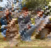 Bonorong Wildlife Park and Richmond Afternoon Tour from Hobart - Accommodation Australia