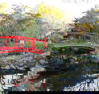 Small-group tour from Hobart Native Flora and Fauna incl. Royal Bot. Gardens - Accommodation Australia