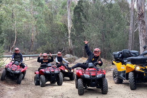 Quad Bike 2-Hour Adventure: Freycinet National Park - Accommodation Australia 4