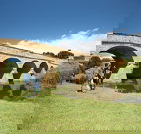 Richmond Historic Afternoon Tour from Hobart - Accommodation Australia
