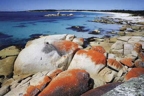 Highlights Of Tasmania 5-Day Small-Group Tour From Hobart - Accommodation Australia 1