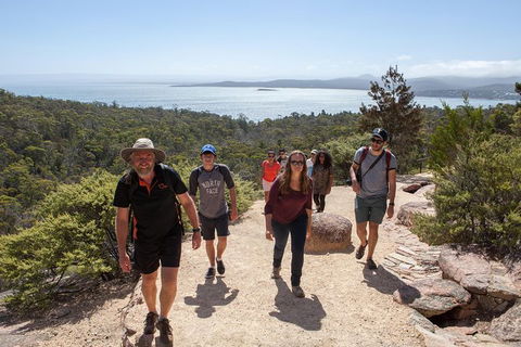 Active Day Tour One-Way From Hobart To Launceston With Wineglass Bay - Accommodation Australia 3