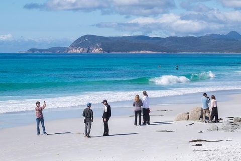 Full-Day Tour To Wineglass Bay From Hobart - Accommodation Australia 7