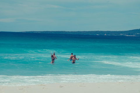 Full-Day Tour To Wineglass Bay From Hobart - Accommodation Australia 5