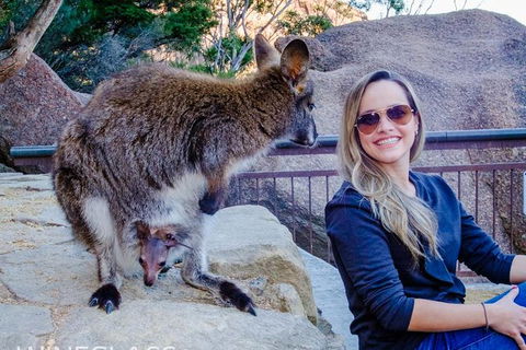 Full-Day Tour To Wineglass Bay From Hobart - Accommodation Australia 9