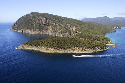 3-Hour Bruny Island Cruise From Adventure Bay - Accommodation Australia 7