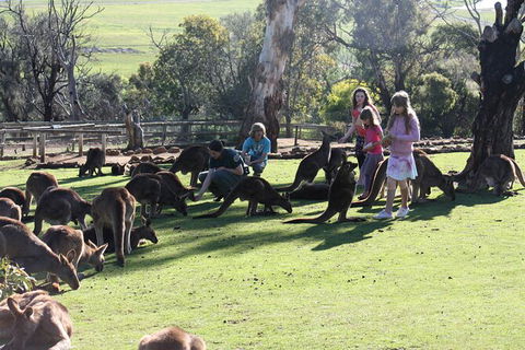 The Port Arthur MEGA Day Trip From Hobart - Accommodation Australia 5