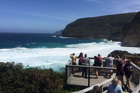 The Port Arthur MEGA Day Trip From Hobart - Accommodation Australia 4