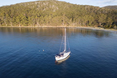 Twilight Sail Bruny Island - Local Tourism 0